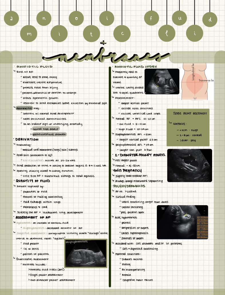 Ch 58: Amniotic Fluid - Notability Gallery