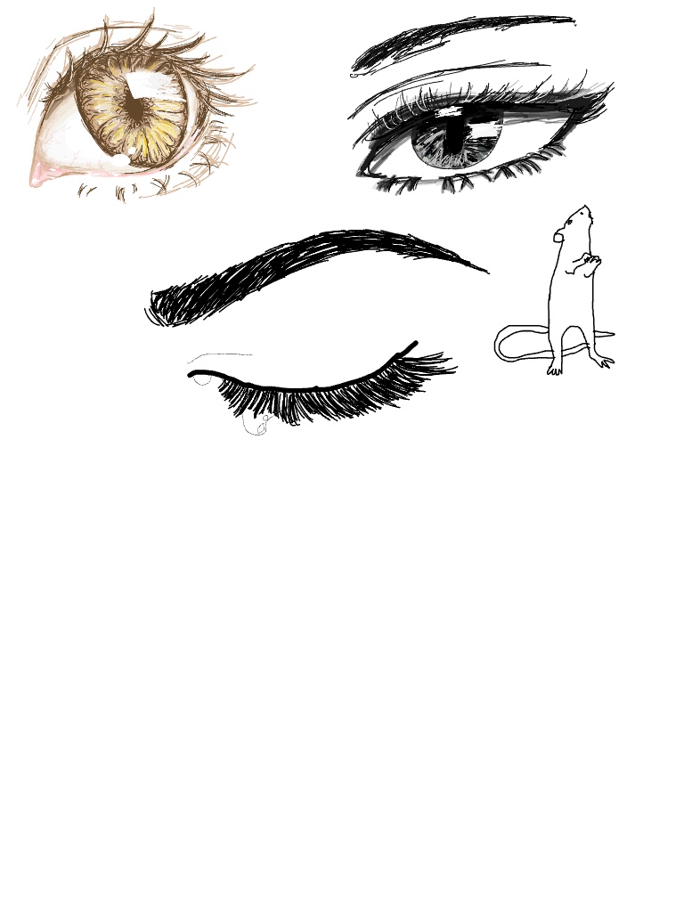 Eye - Notability Gallery