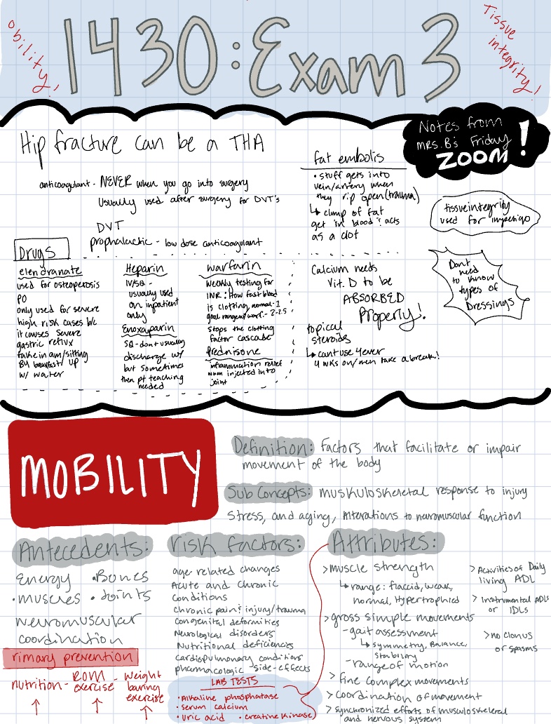 1430 Exam 3 Study Material - Notability Gallery