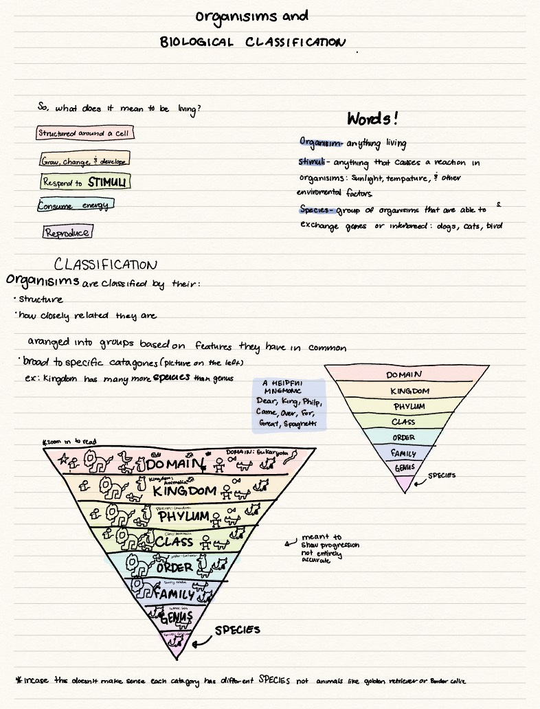 Science Study Sheet Classifications - Notability Gallery