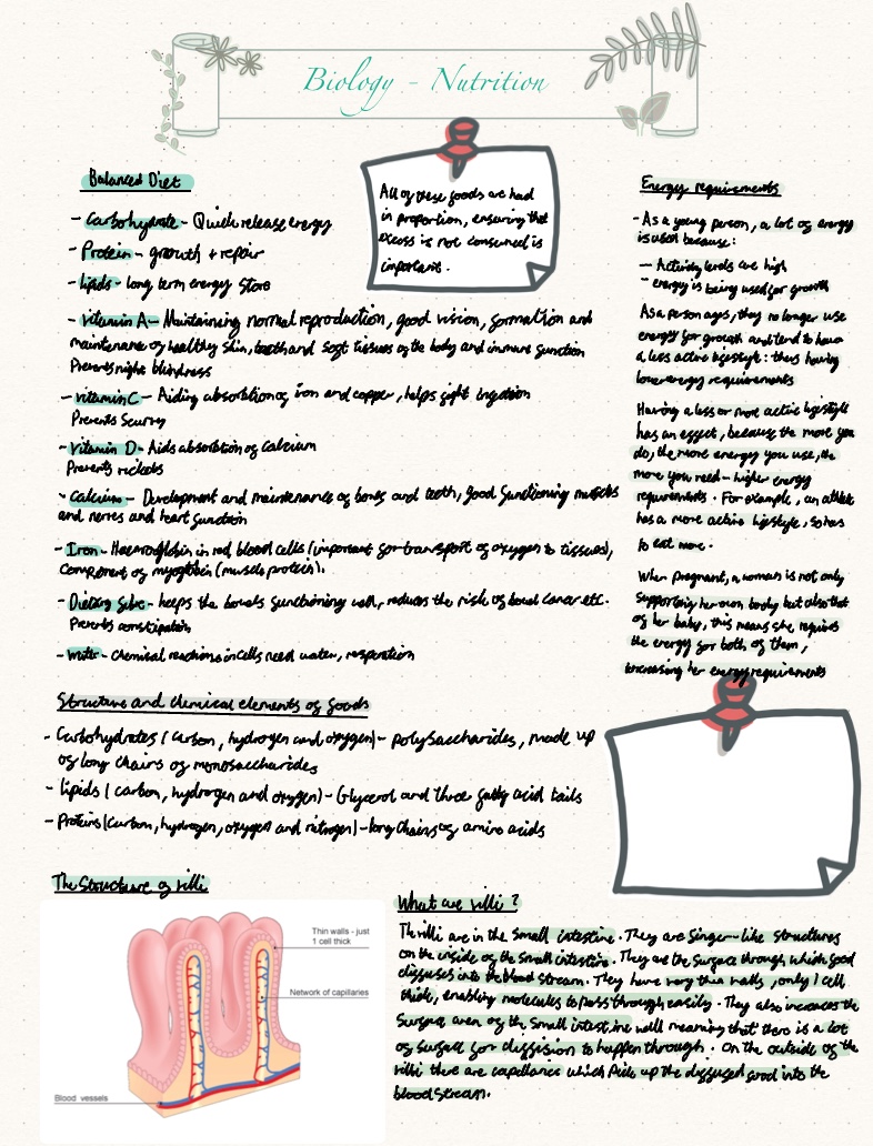 Biology Nutrition Revision Notes - Notability Gallery