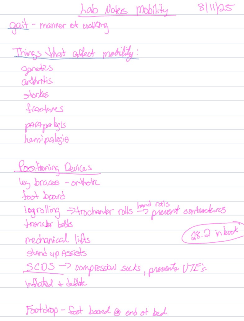 Not Ability Lab Notes Template Lab Notes 8 11 25 - Notability Gallery