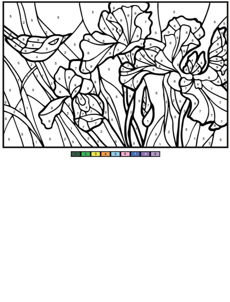 FREE* Color By Number Flowers