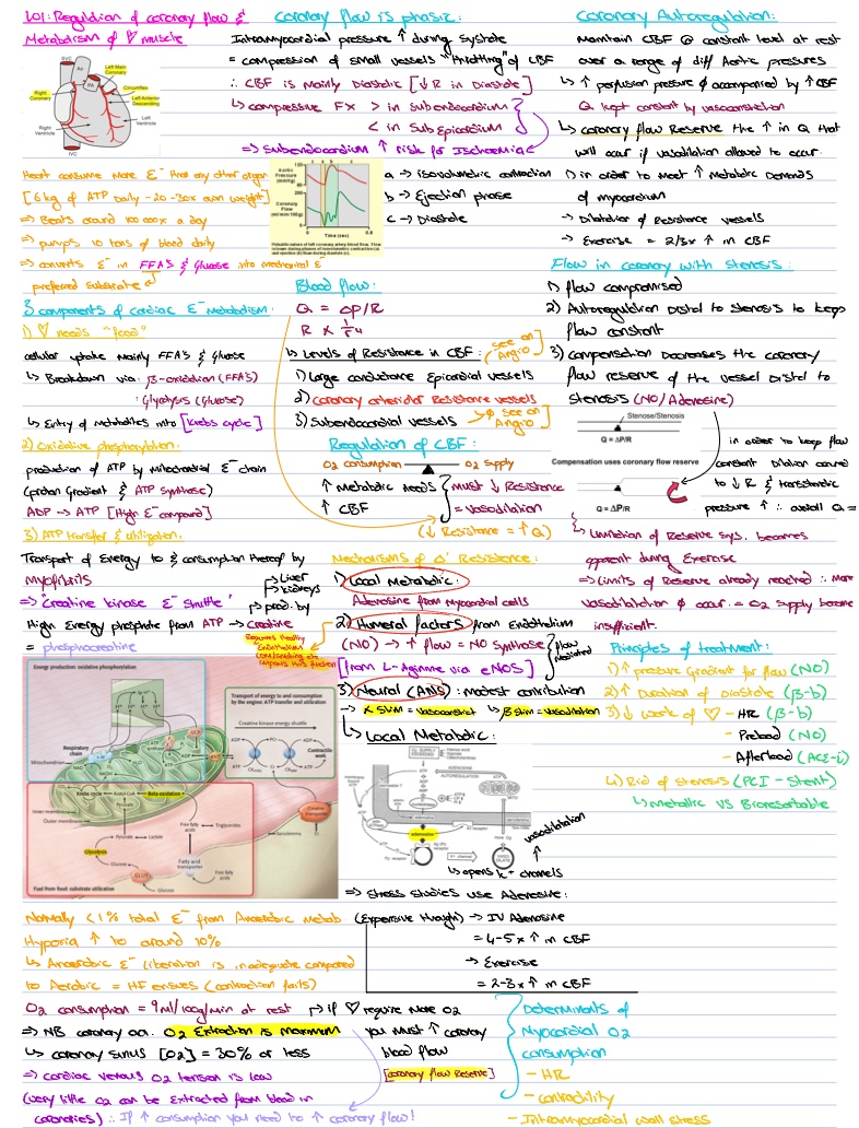 S01: Regulation Of Coronary Flow & Metabolism Of Heart Muscl ...