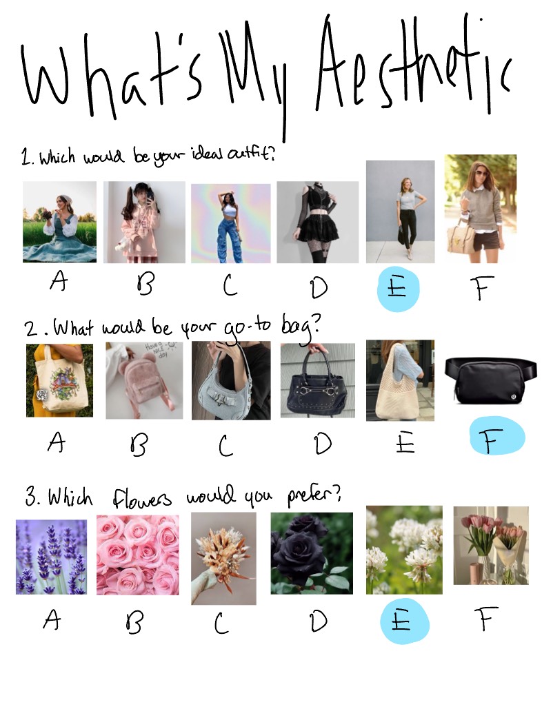 What’s My Aesthetic Quiz - Notability Gallery