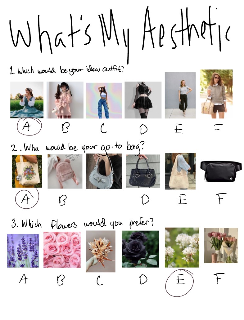 What’s My Aesthetic Quiz - Notability Gallery