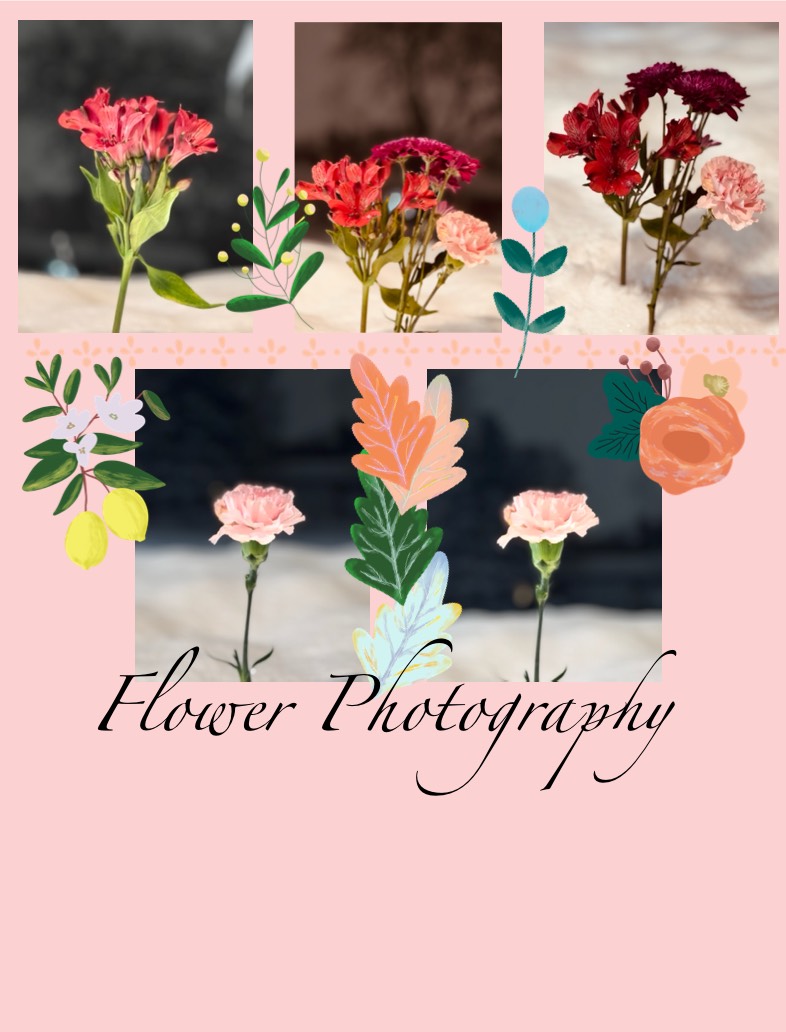 Flower Photography By Me - Notability Gallery