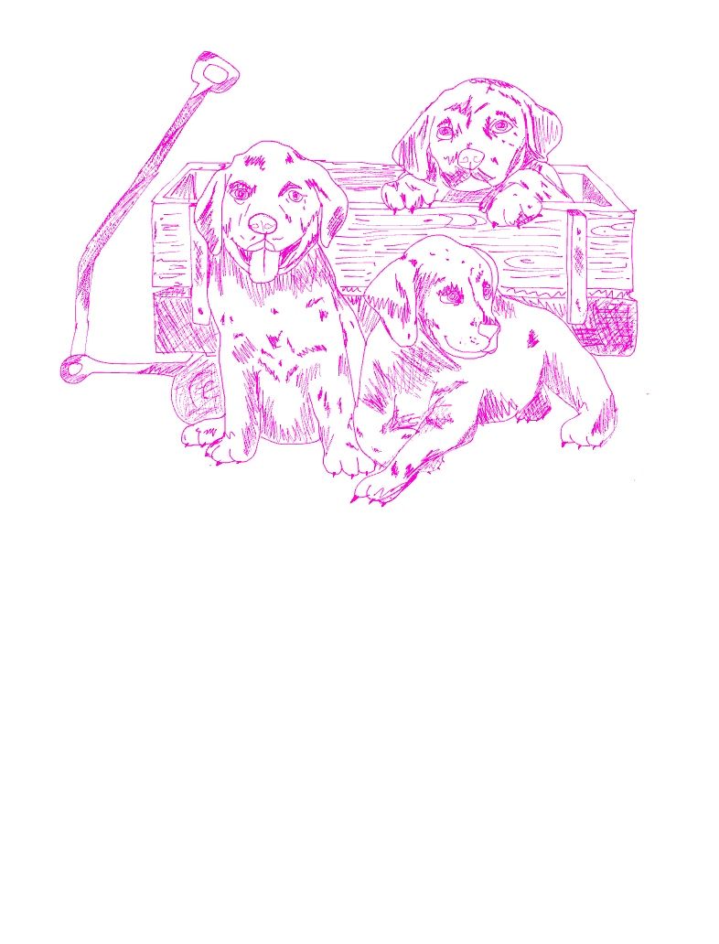 Sketch Testing Rough Sketches - Notability Gallery