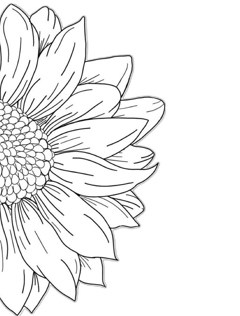 Pretty Sunflower 🌻 - Notability Gallery