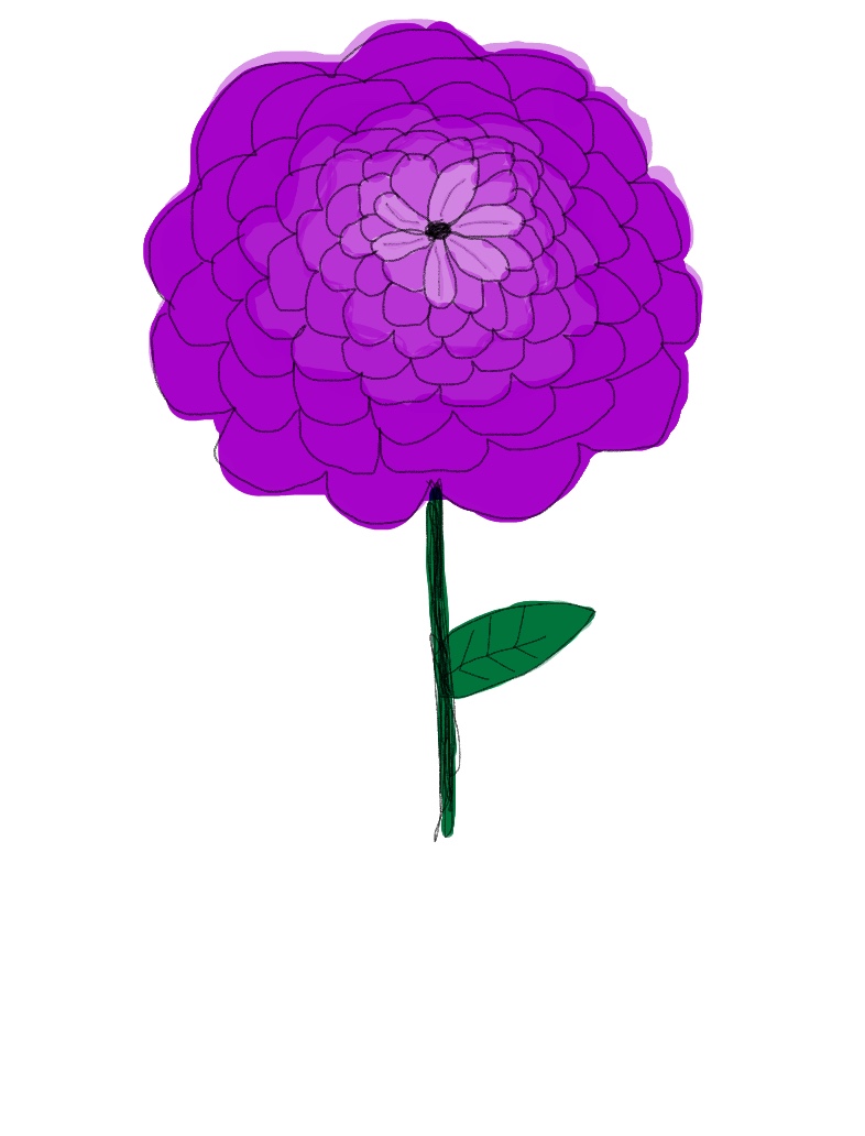 Beautiful Flower - Notability Gallery