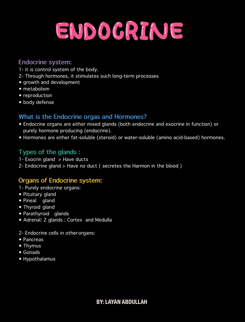 Note 25 May 2022 - Notability Gallery
