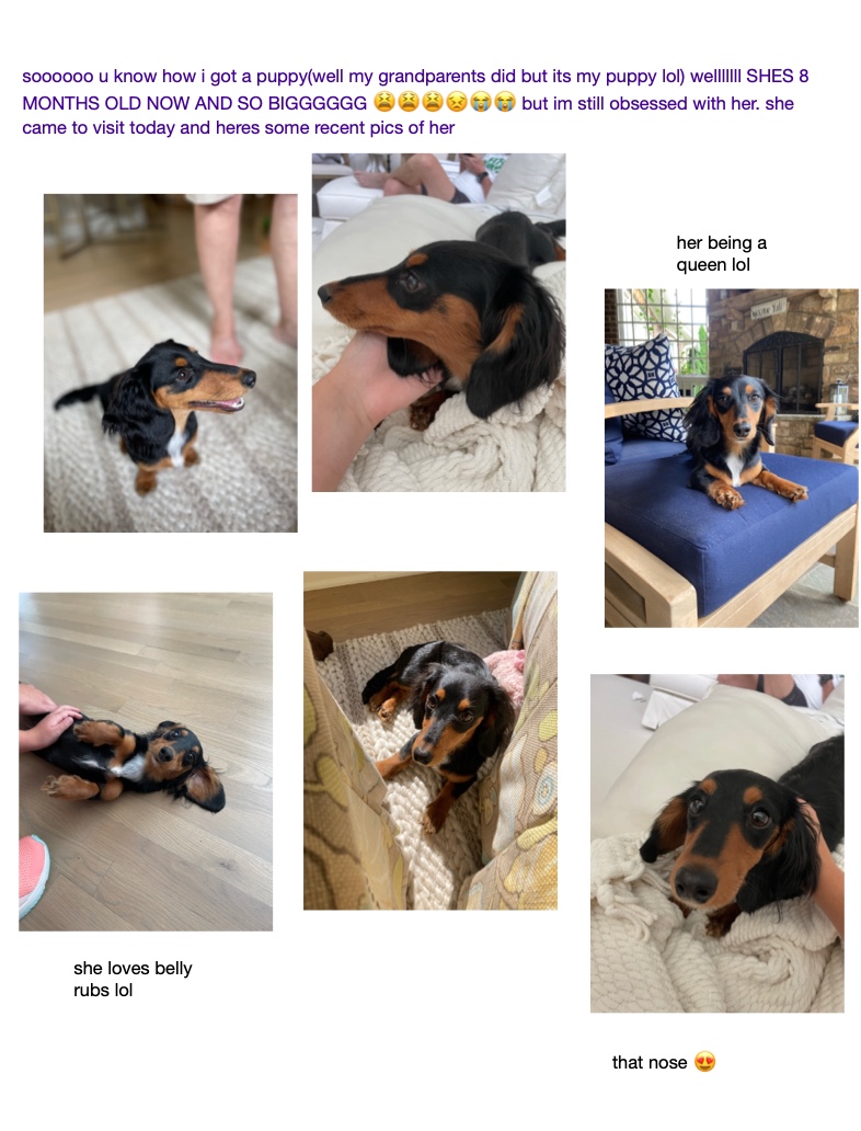 My Puppy 🥰 - Notability Gallery