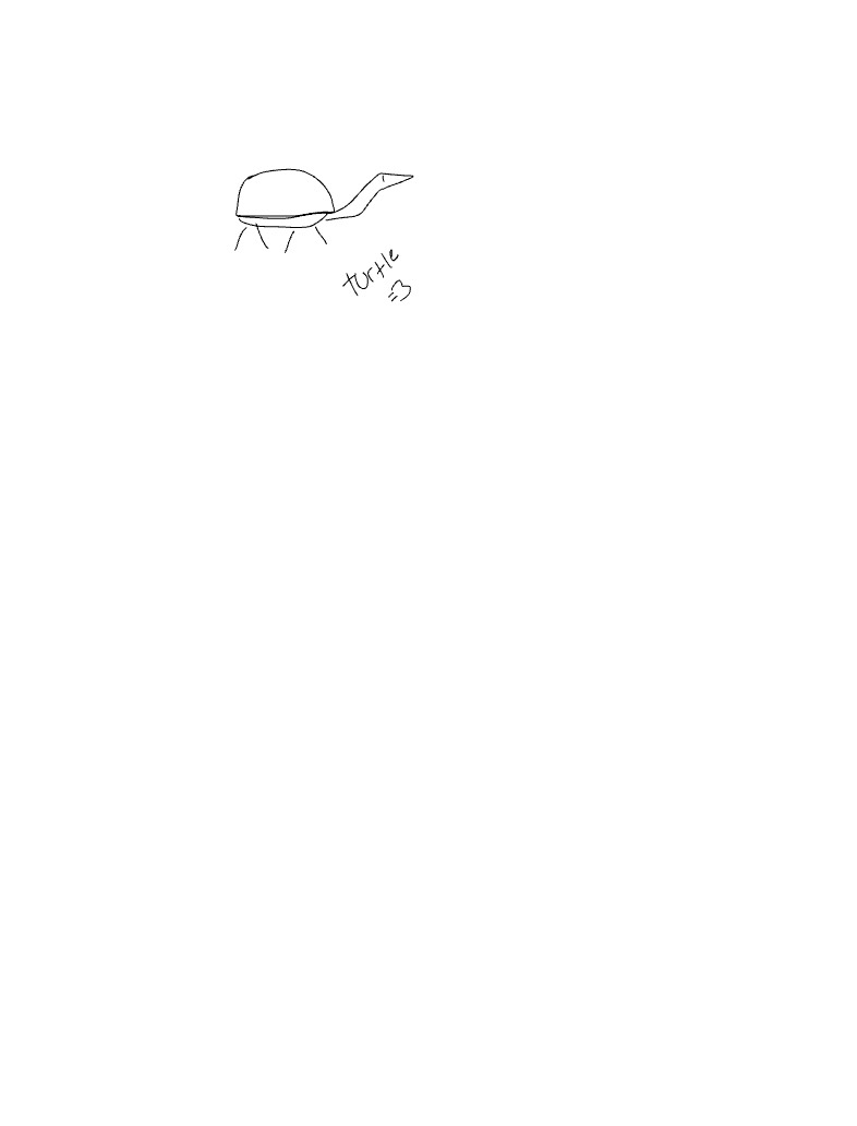 Turtle - Notability Gallery