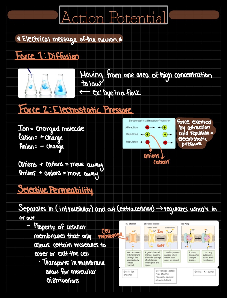 Action Potential - Notability Gallery