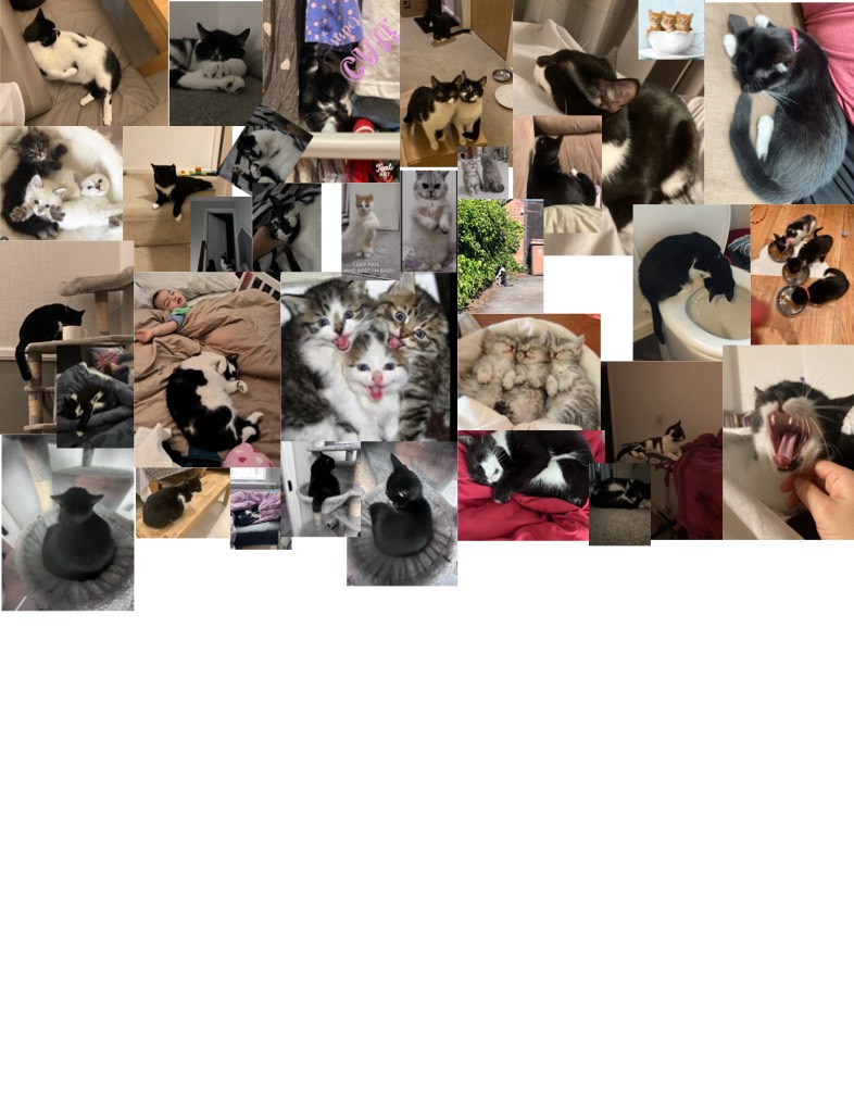 The COLLAGE - Notability Gallery