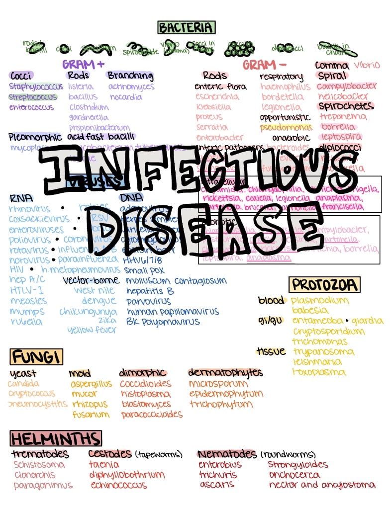 Infectious Diseases - Notability Gallery