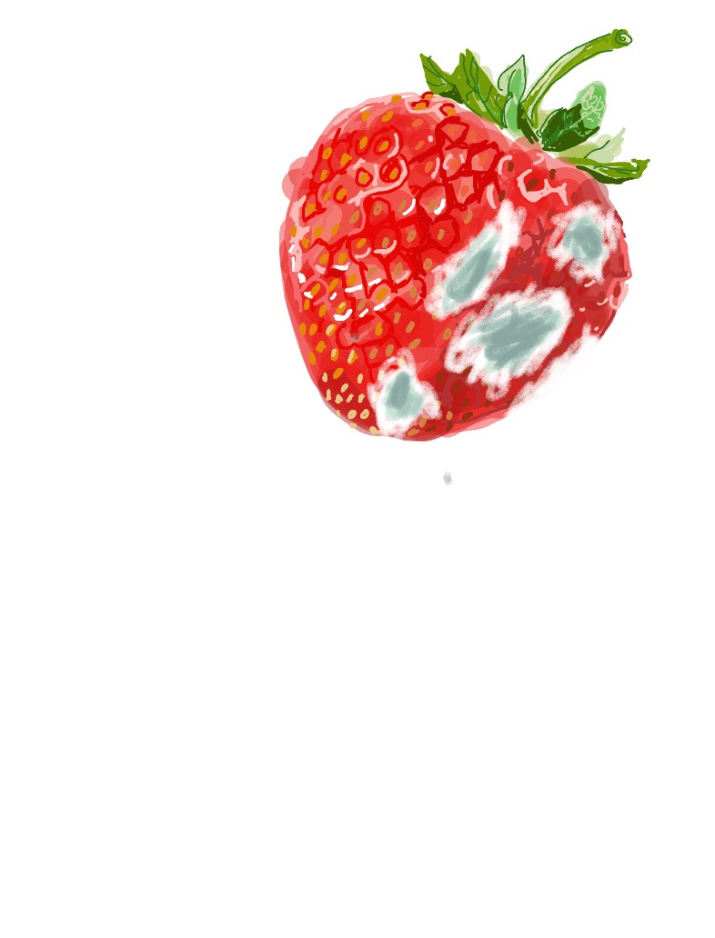 Moldy Berry - Notability Gallery