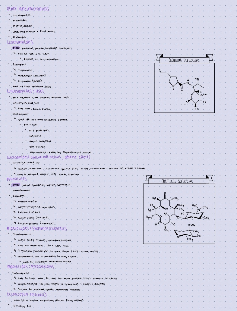 Antimicrobials Pt 4 - Notability Gallery