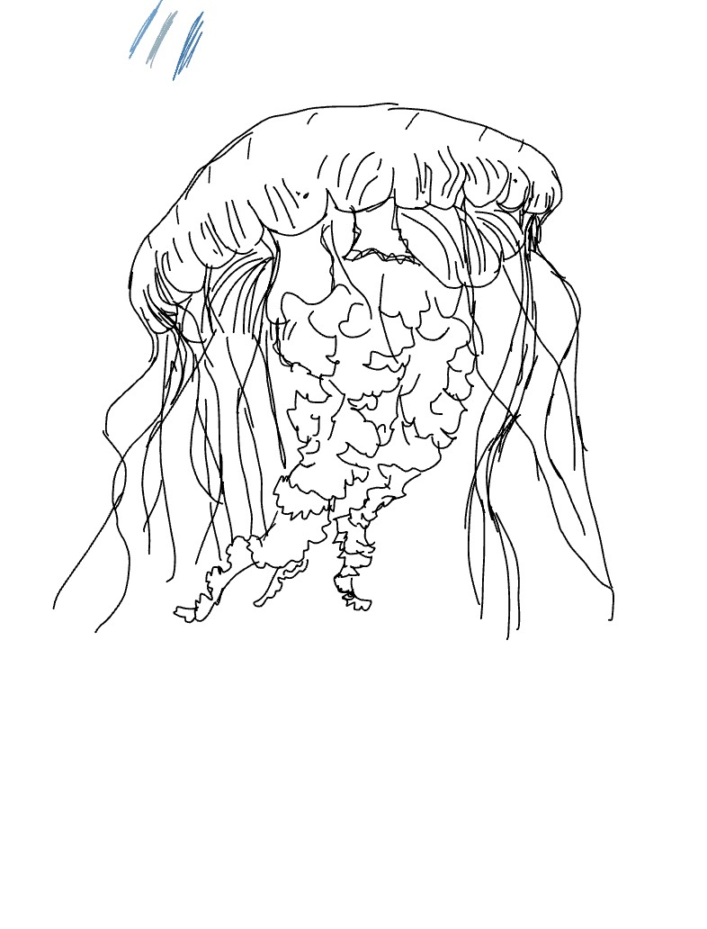 Jellyfish Wip :3 - Notability Gallery