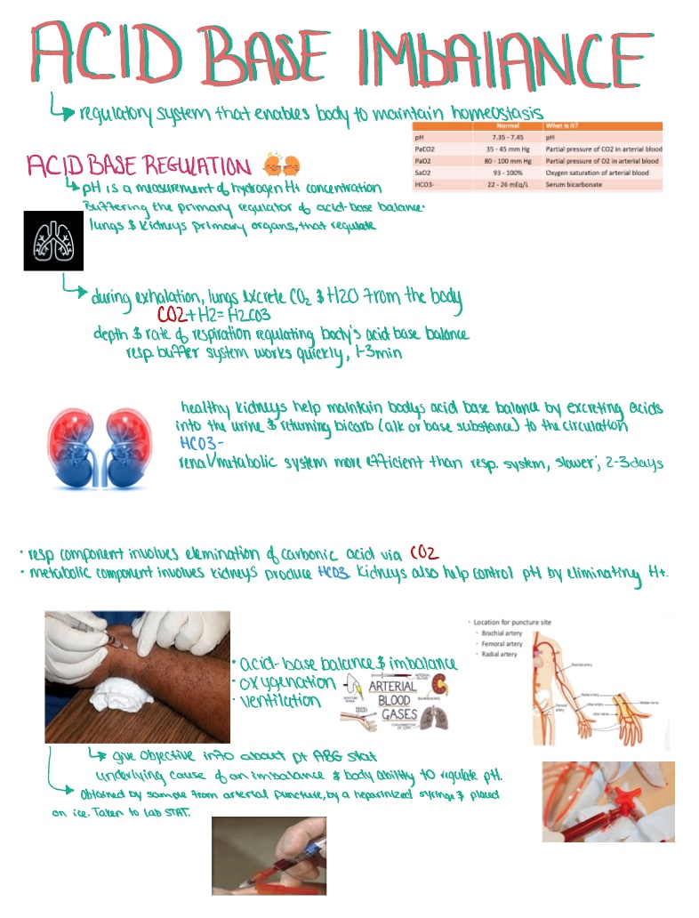 Note May 5, 2022 - Notability Gallery