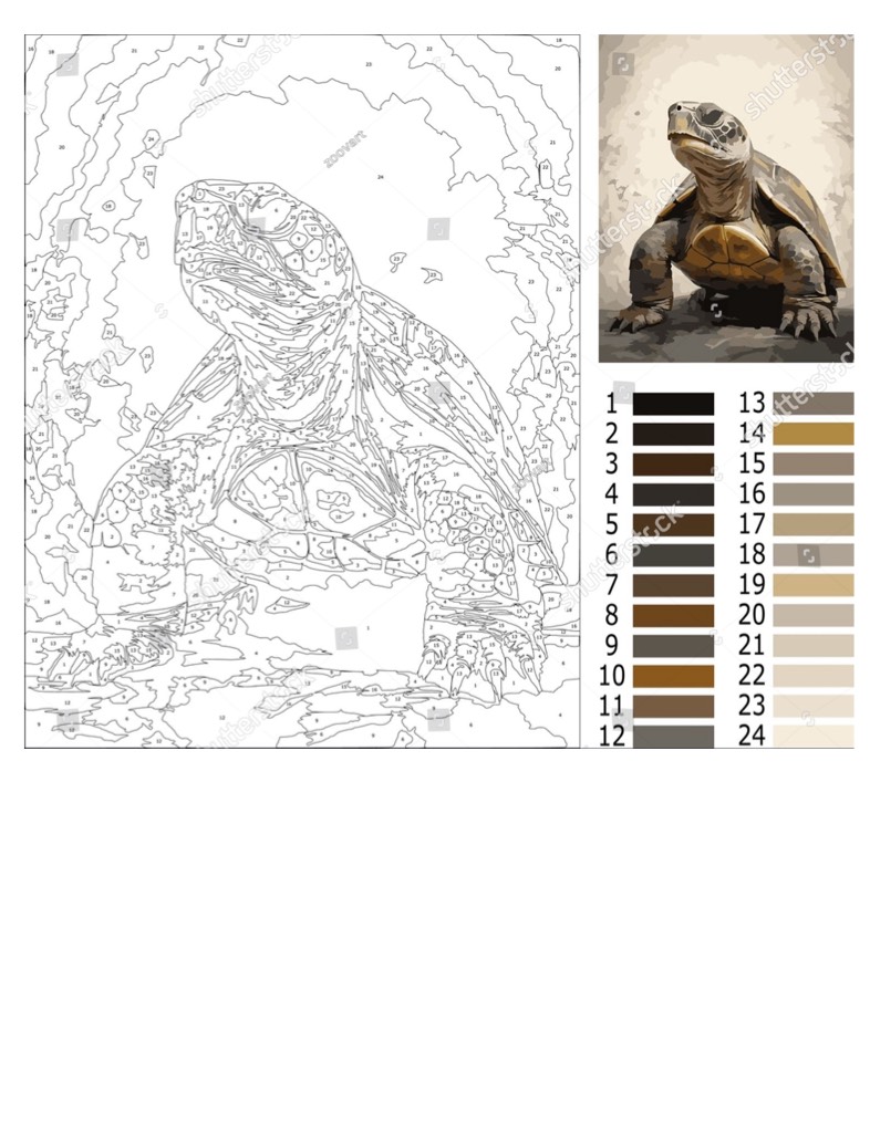Turtle - Notability Gallery