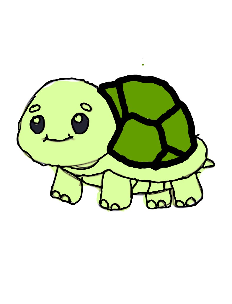 Tortoise - Notability Gallery