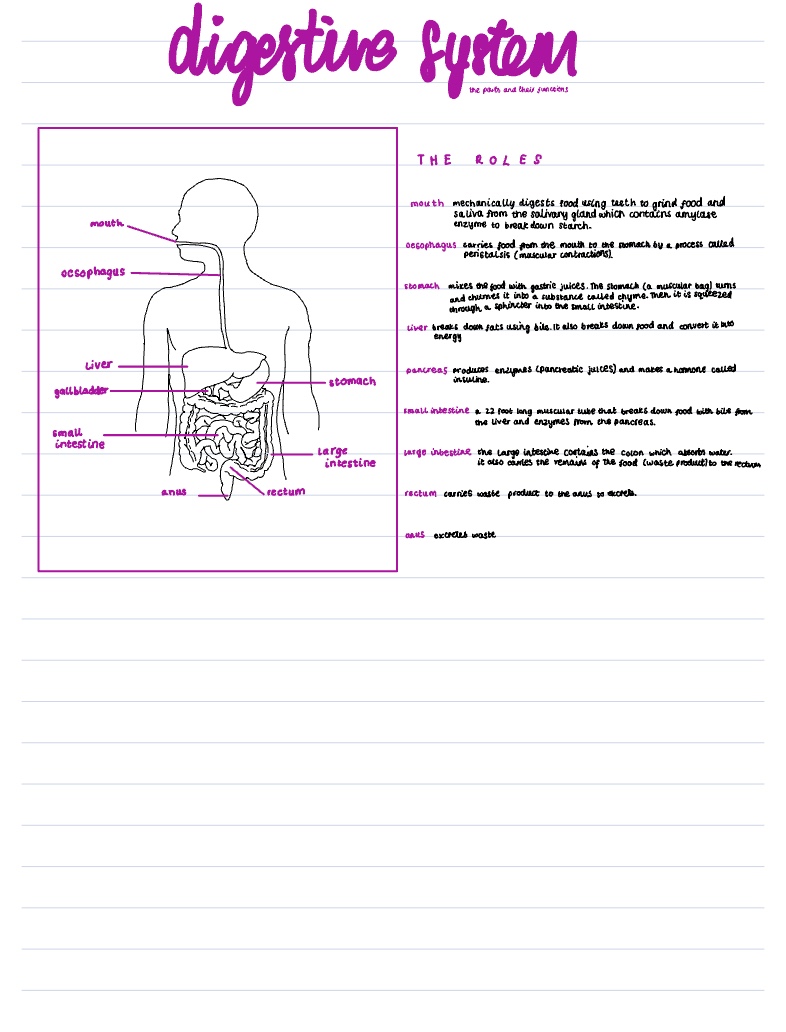 Note 4 Jun 2022 - Notability Gallery