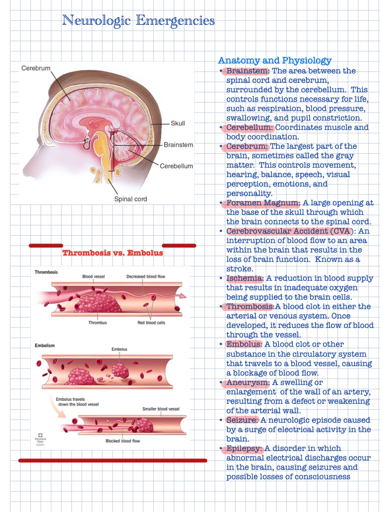 Neurologic Emergencies - Notability Gallery