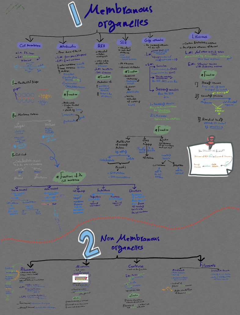 Note 1 Jun 2022 - Notability Gallery