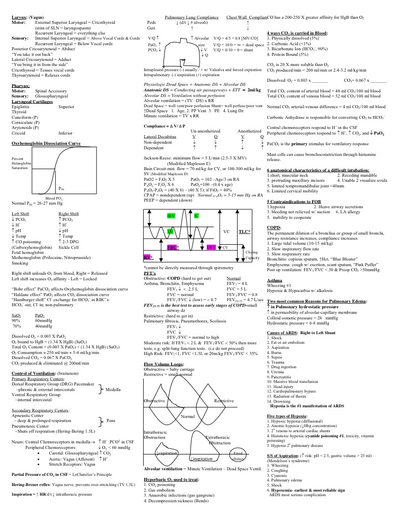 SEE EXAM STUDY GUIDE - Notability Gallery