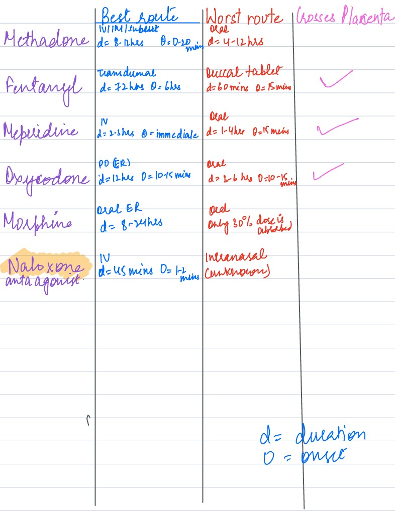 Notes Pharm Nursing Random - Notability Gallery