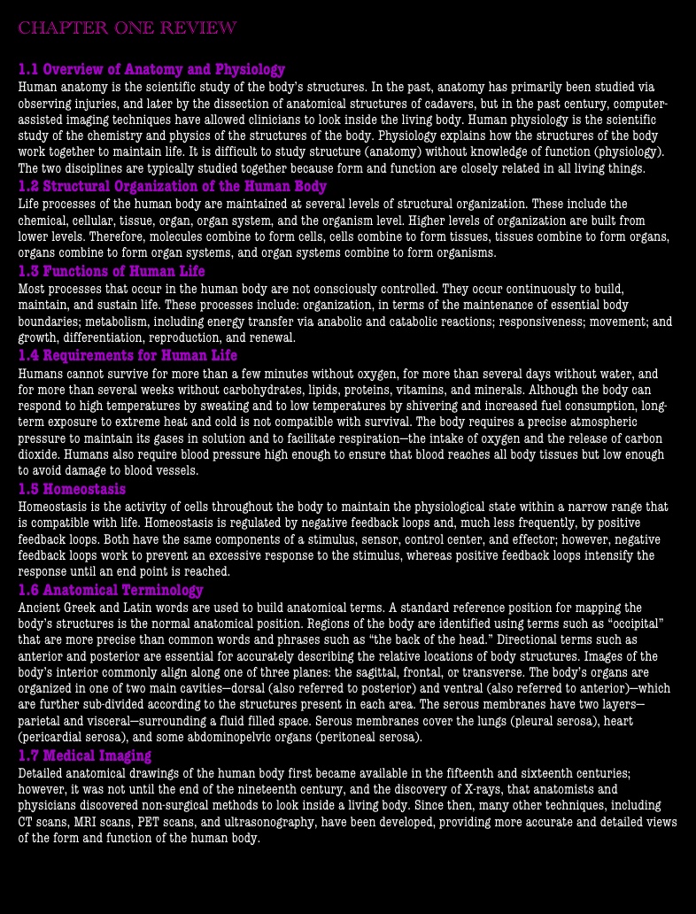 Chapter One Review - Notability Gallery