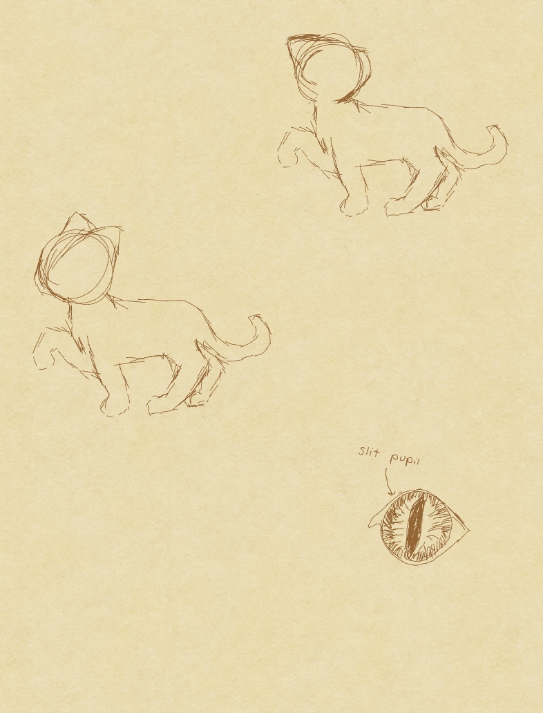 Studies Of A Cat - Notability Gallery