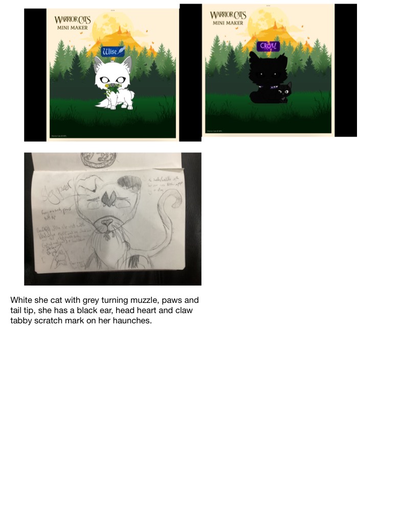 WC WIP - Notability Gallery