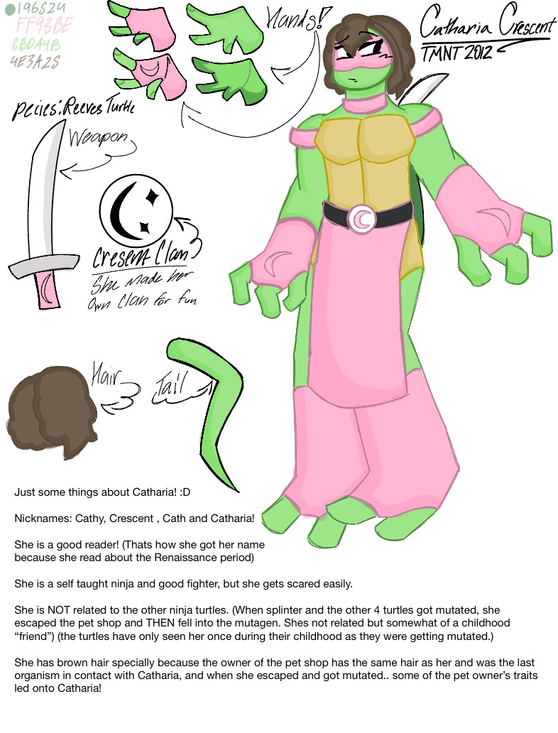 Tmnt Oc Roxy 2012 Tmnt Oc Redesign! :D - Notability Gallery