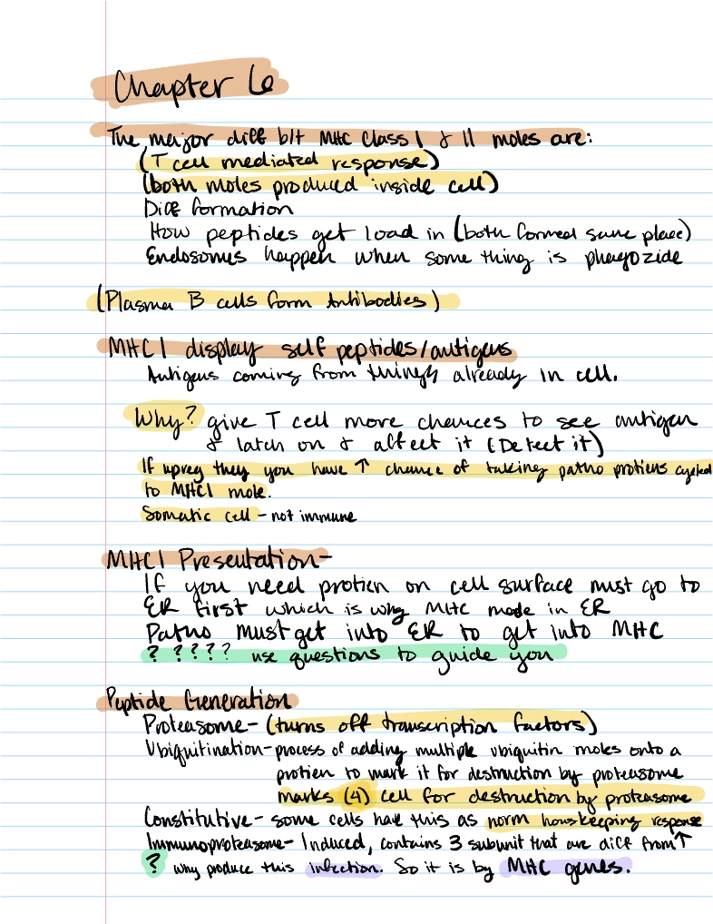 Chapter 6 Immunity - Notability Gallery