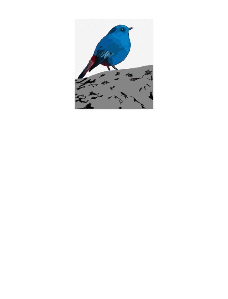 Bird - Notability Gallery