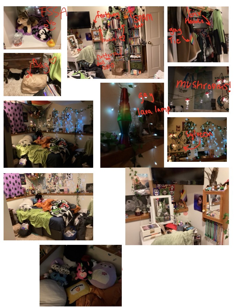 Room Reveal - Notability Gallery