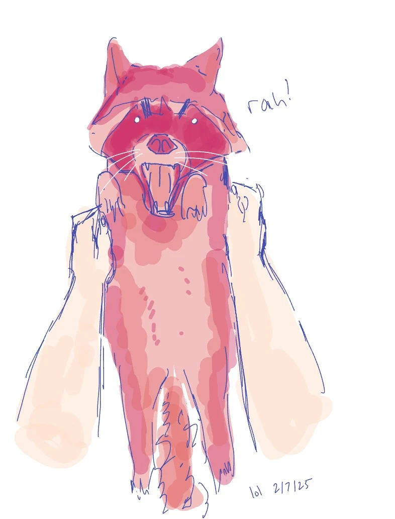 Pink Racoon Cos Pink R A C C O O N - Notability Gallery