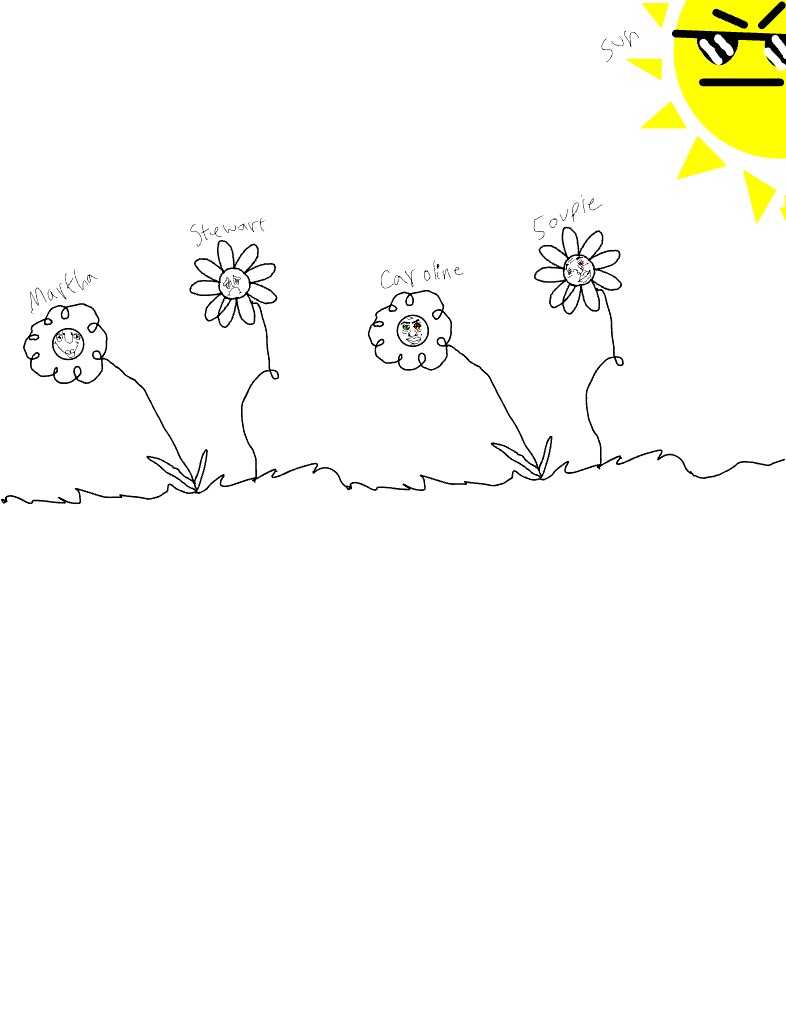 Flowers - Notability Gallery
