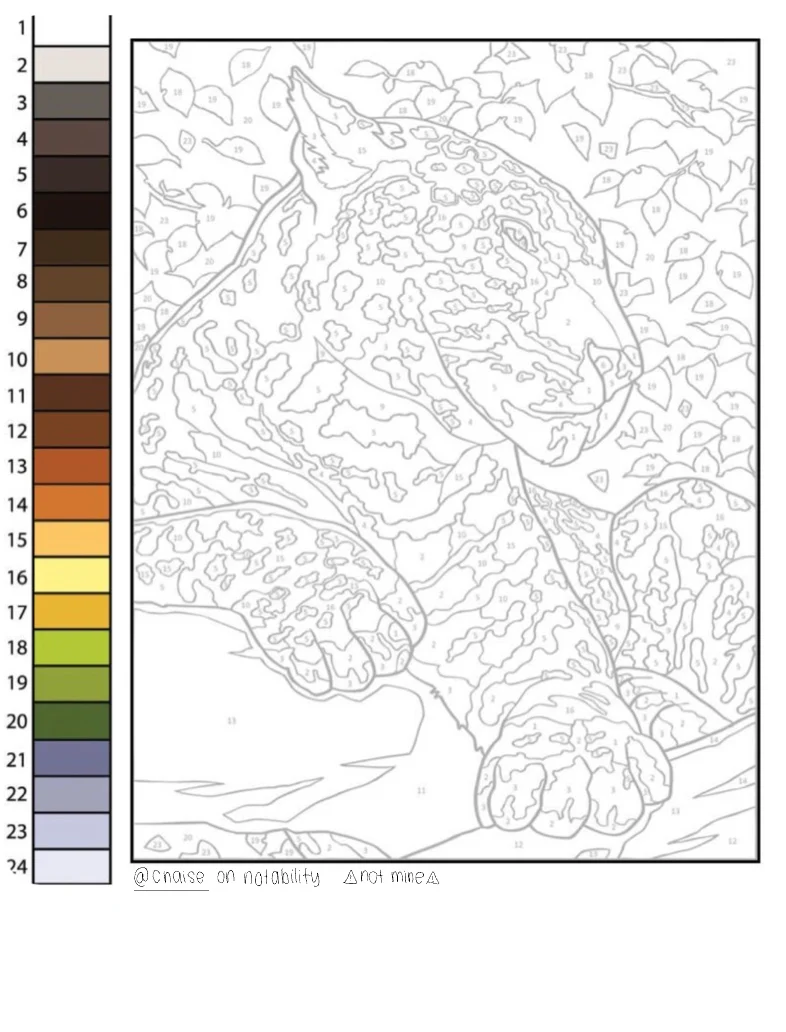 Cheetah Colour By Number - Notability Gallery