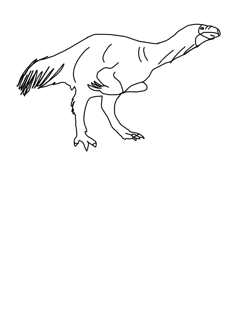 Bird - Notability Gallery