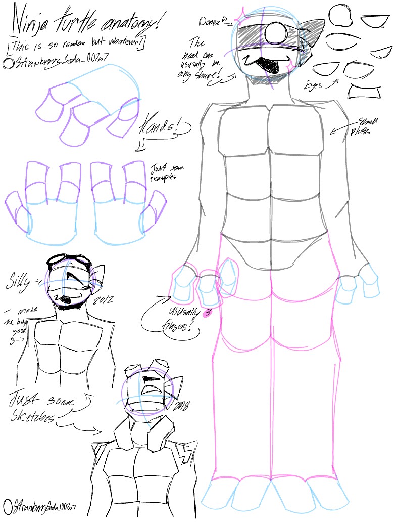 Just Some Ninja Turtle Anatomy :P - Notability Gallery