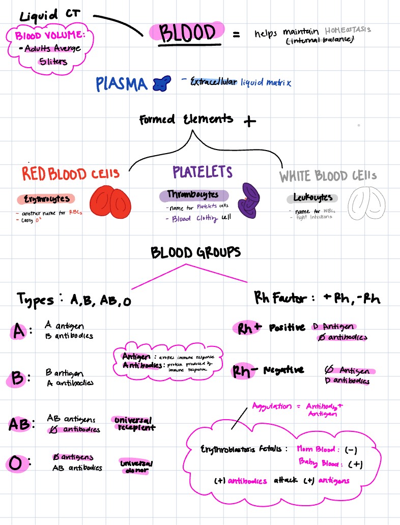Blood - Notability Gallery