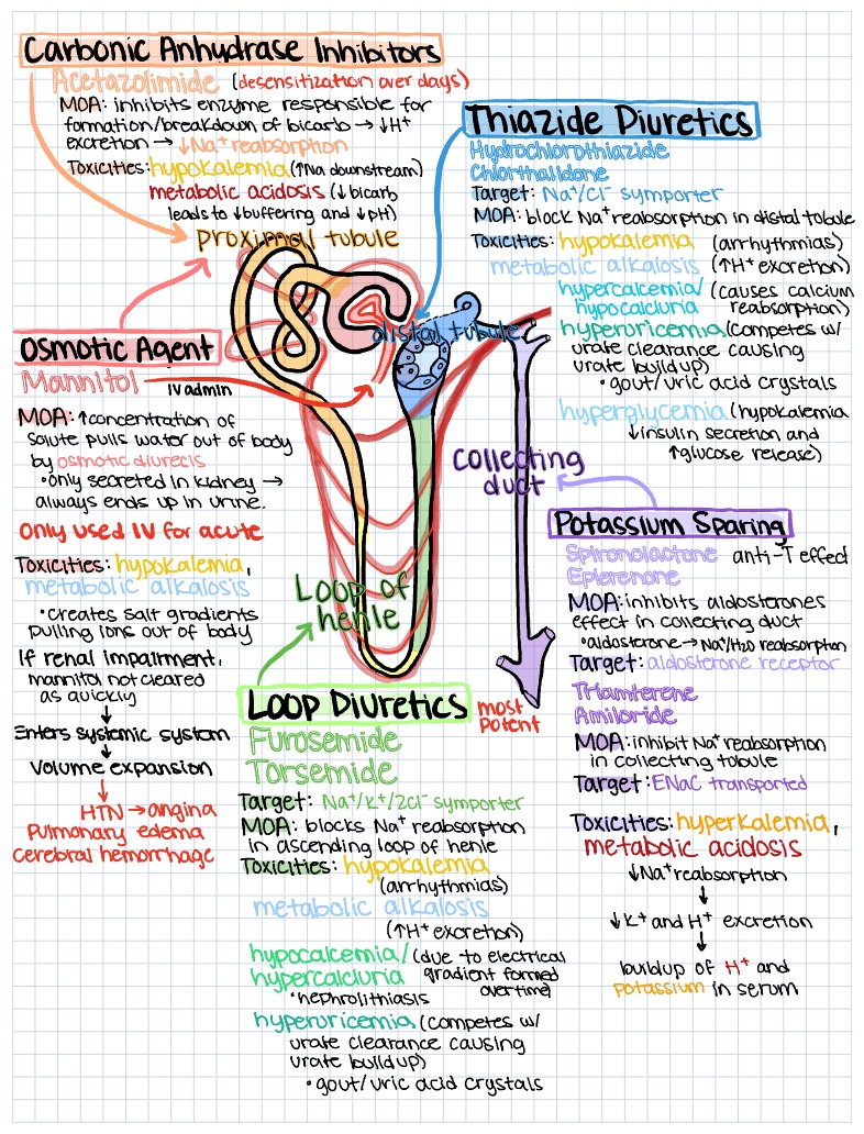 Diuretics - Notability Gallery