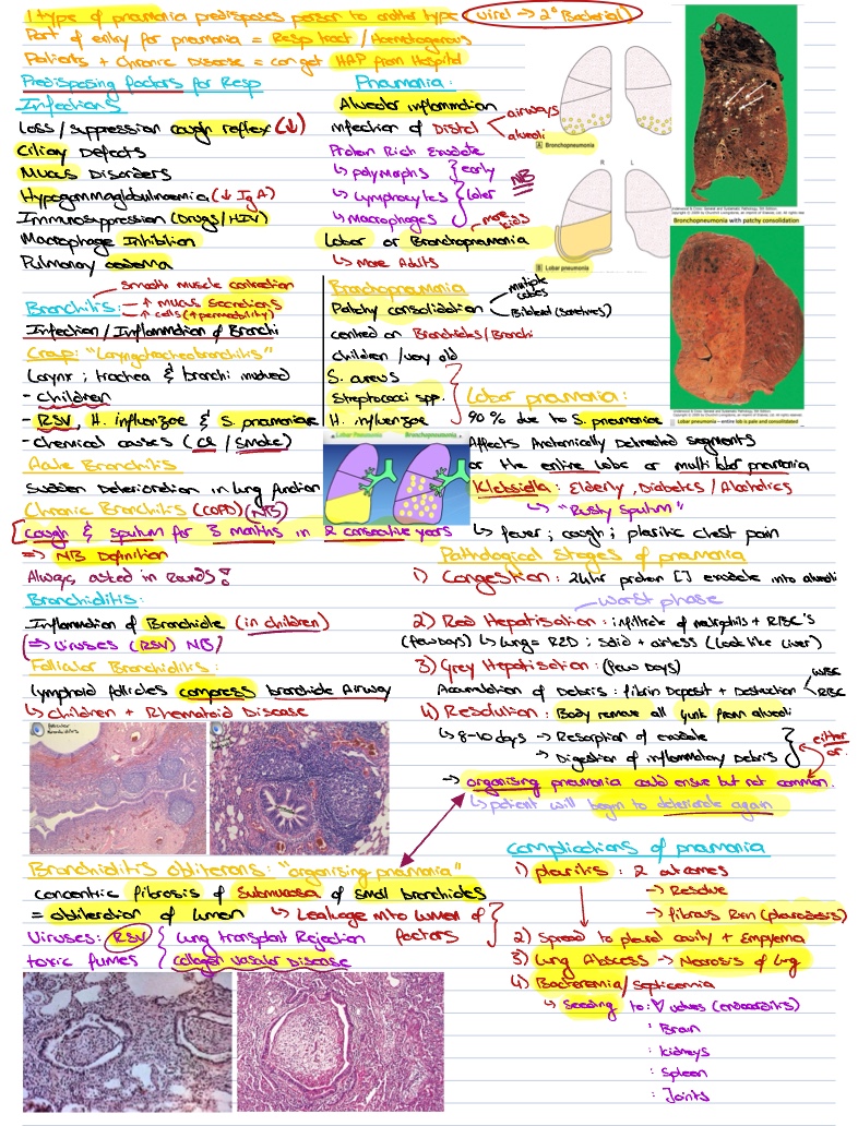 S01: Pneumonia Pathology (Prof PT Schubert) - Notability Gallery