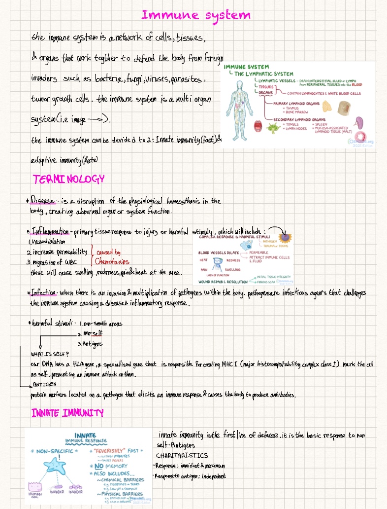 Immune System - Notability Gallery