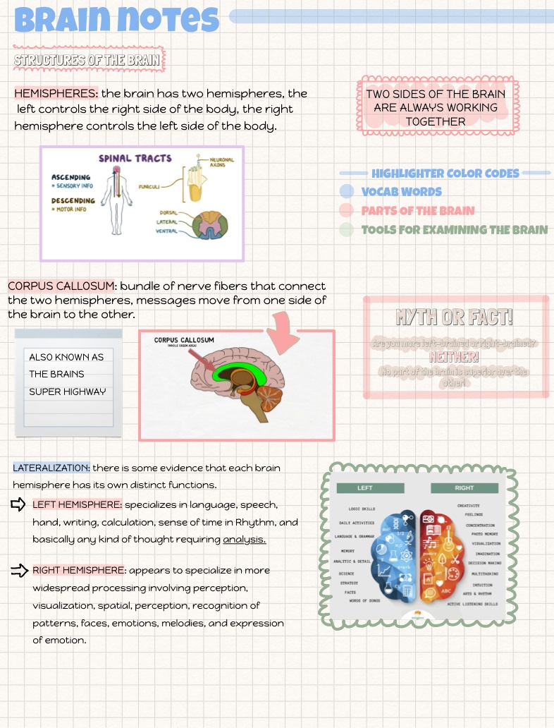 PSYCHOLOGY Brain Notes - Notability Gallery