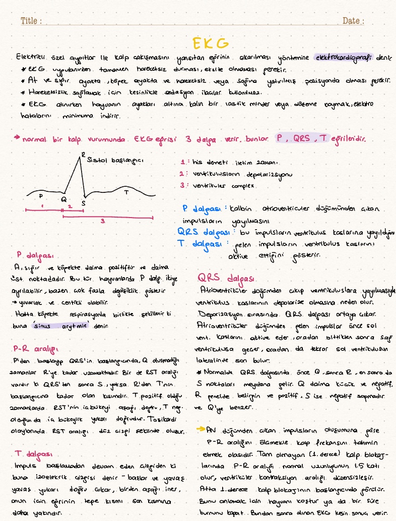 EKG - Notability Gallery