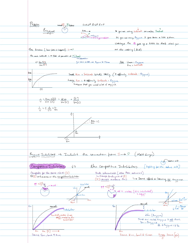 USMLE Basic Pharm. - Notability Gallery